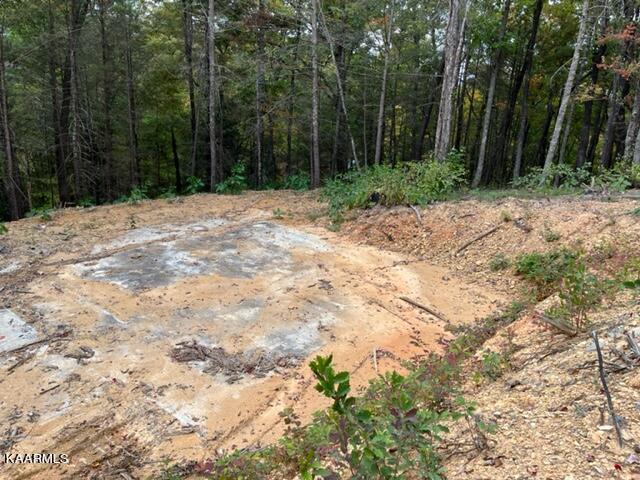 2315 High Top Loop Sevierville, TN 37862 - Photo 5 of 12 IMG_0651