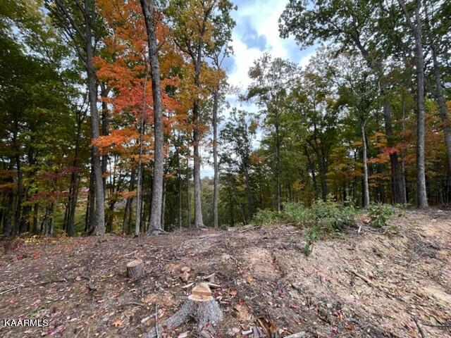 2315 High Top Loop Sevierville, TN 37862 - Photo 6 of 12 IMG_0642