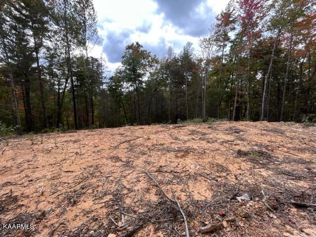 2315 High Top Loop Sevierville, TN 37862 - Photo 8 of 12 IMG_0645