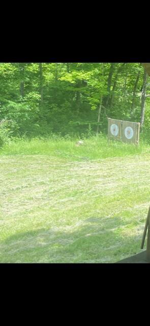 16600 Hooper Ridge Road Amesville, OH 45711 - Photo 9 of 9 cleared in front of cabin