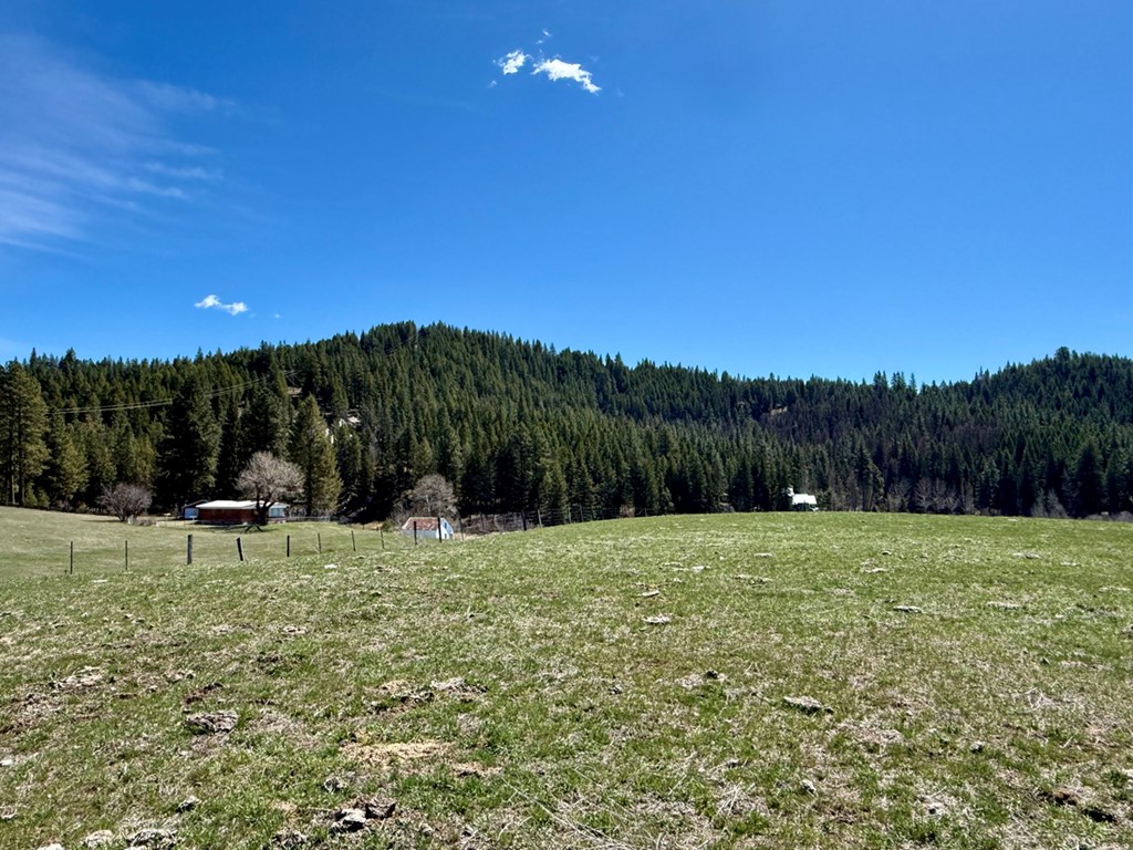 49 Pine Lakes Ranch Drive Cascade, ID 83611 - Photo 8 of 14 Build Site Looking South