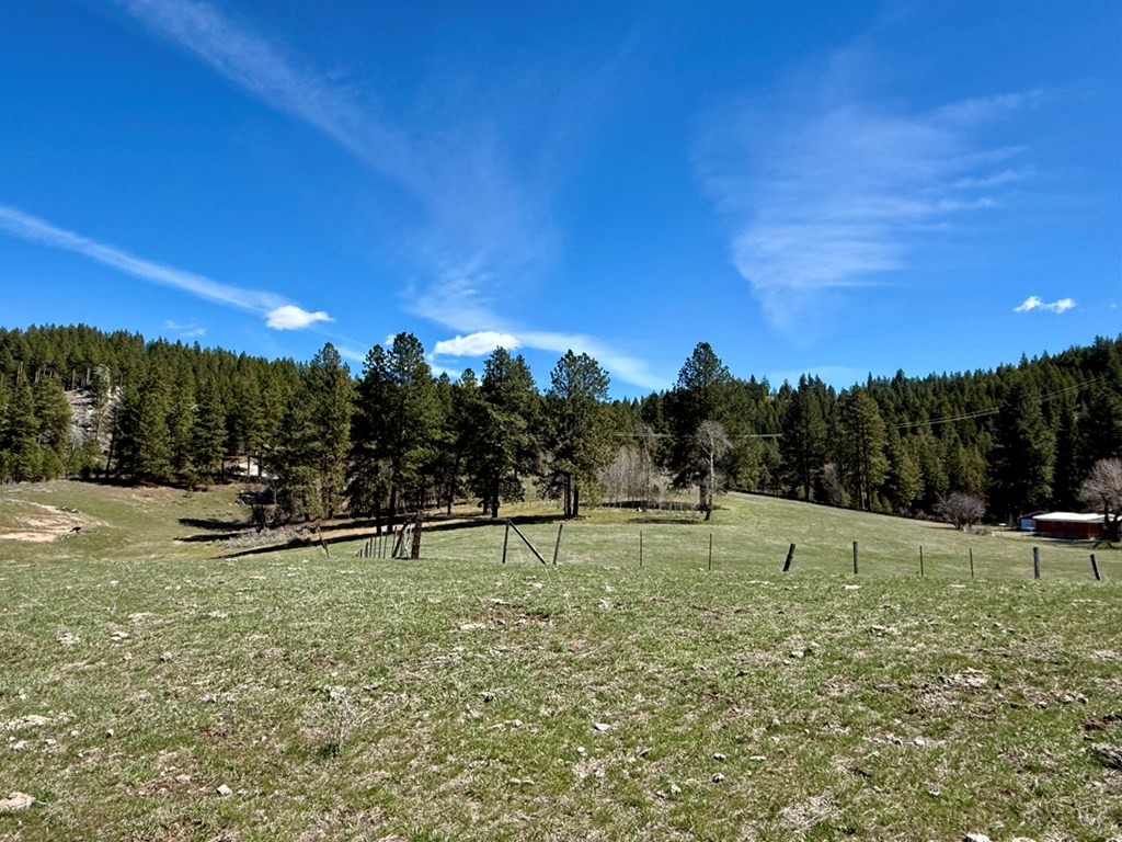 49 Pine Lakes Ranch Drive Cascade, ID 83611 - Photo 10 of 14 Mature Tree off Property to East