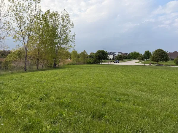 a view of a field with trees in the background