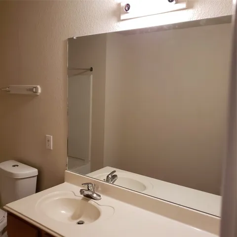 a bathroom with a sink and a toilet