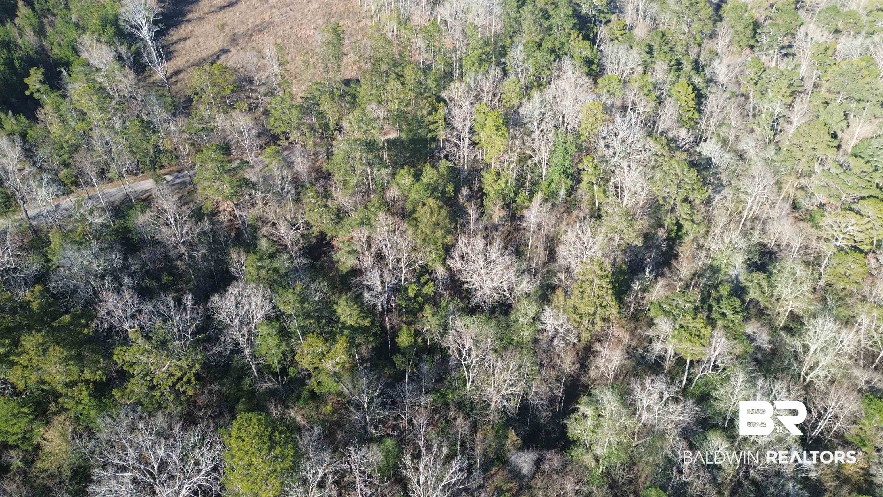 756 Ted Bates Road Evergreen, AL 36401 - Photo 28 of 28 Aerial view