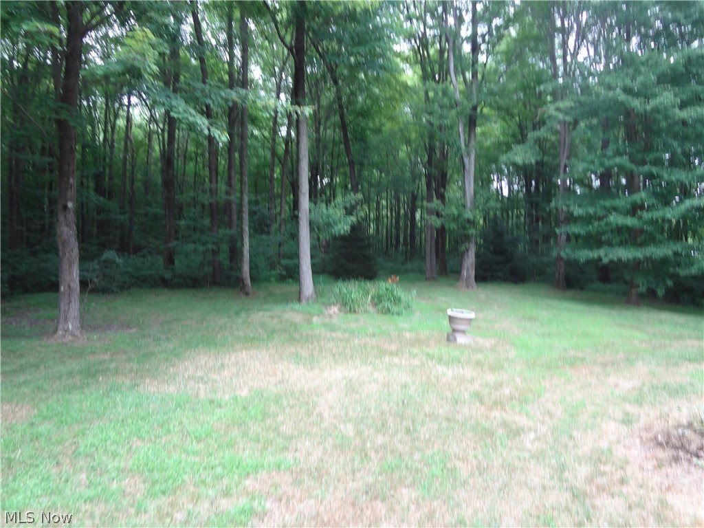 5746 Ridge Road Cortland, OH 44410 - Photo 6 of 29 Gallery Image 6