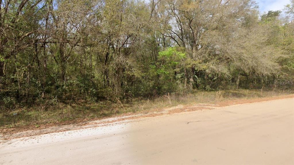 Annette Avenue Interlachen, FL 32148 - Photo 3 of 5 a view of a lake view