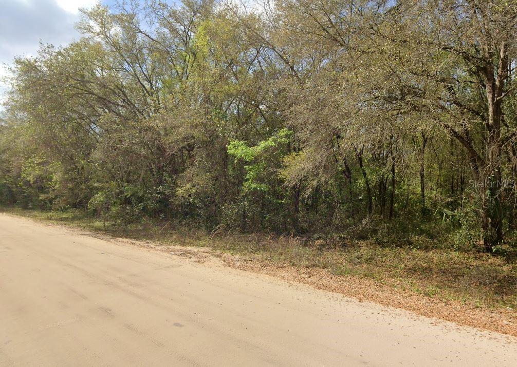 Annette Avenue Interlachen, FL 32148 - Photo 4 of 5 a view of a yard with trees