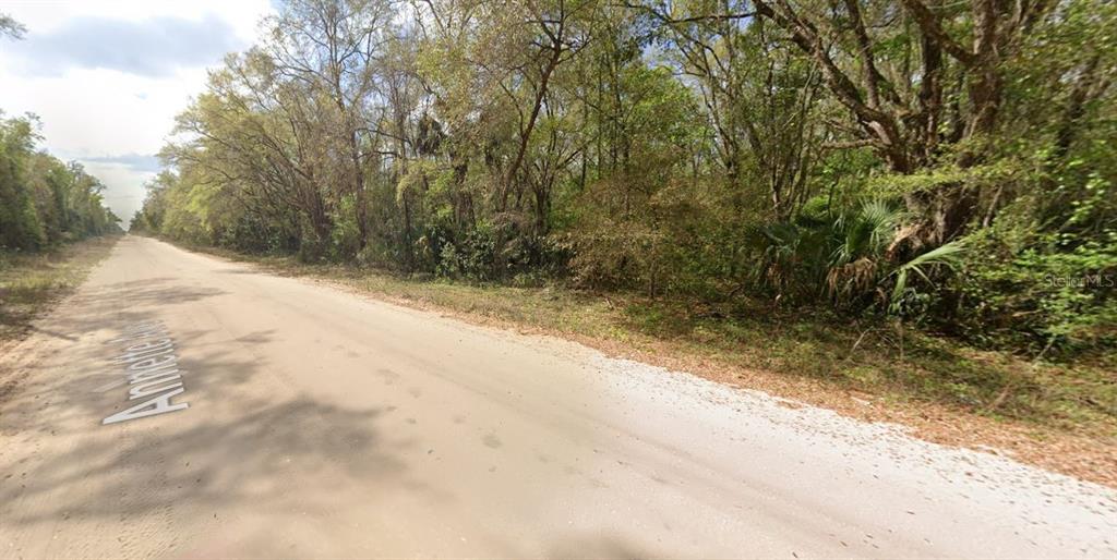 Annette Avenue Interlachen, FL 32148 - Photo 5 of 5 a view of a yard with a tree