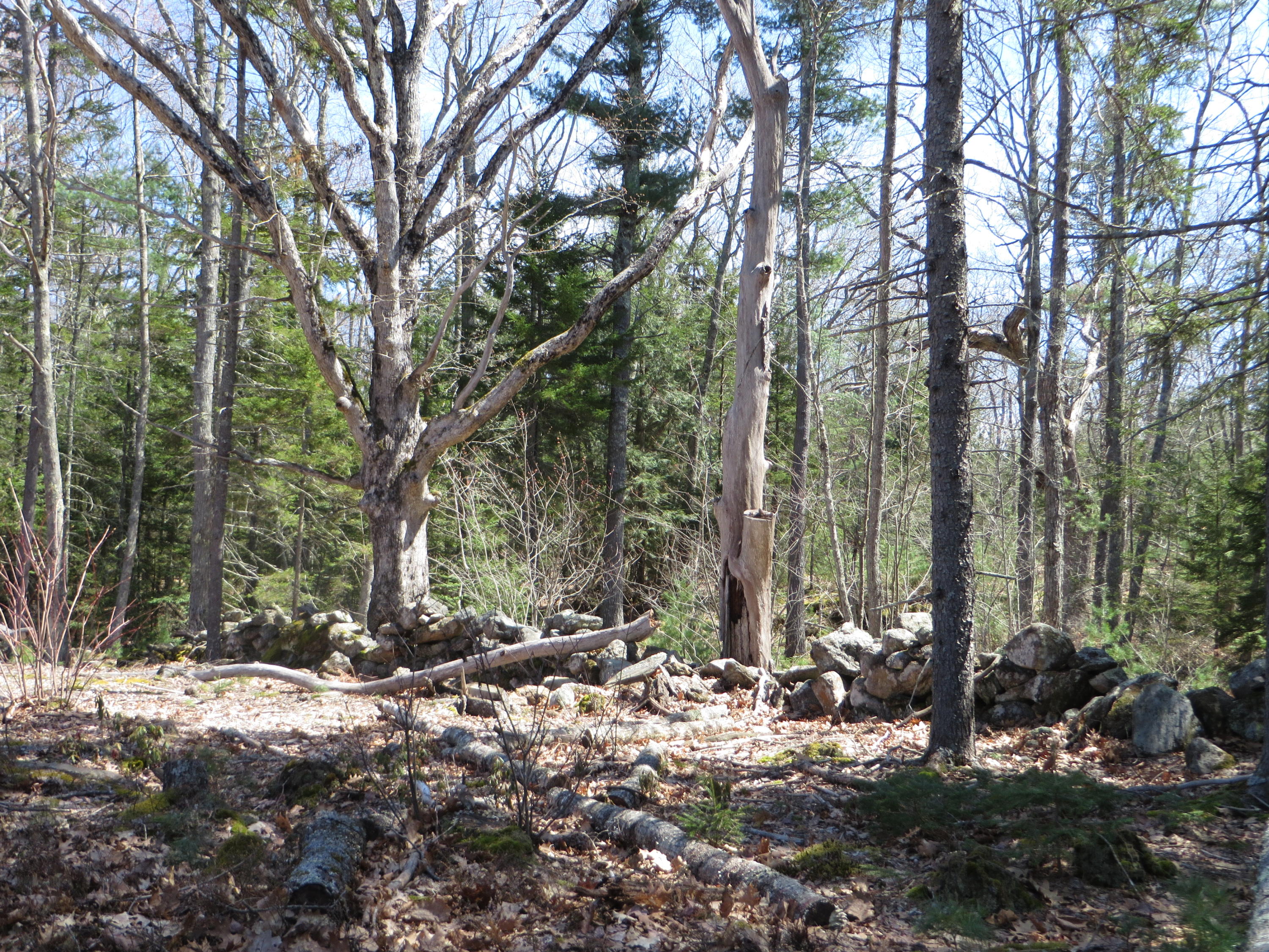 Lot57-10 Winterberry Road West Bath, ME 04530 - Photo 20 of 24 18
