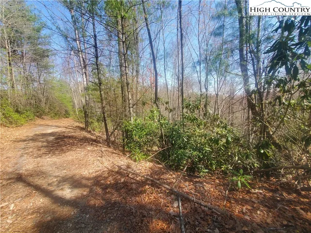 a view of a yard with plants and trees