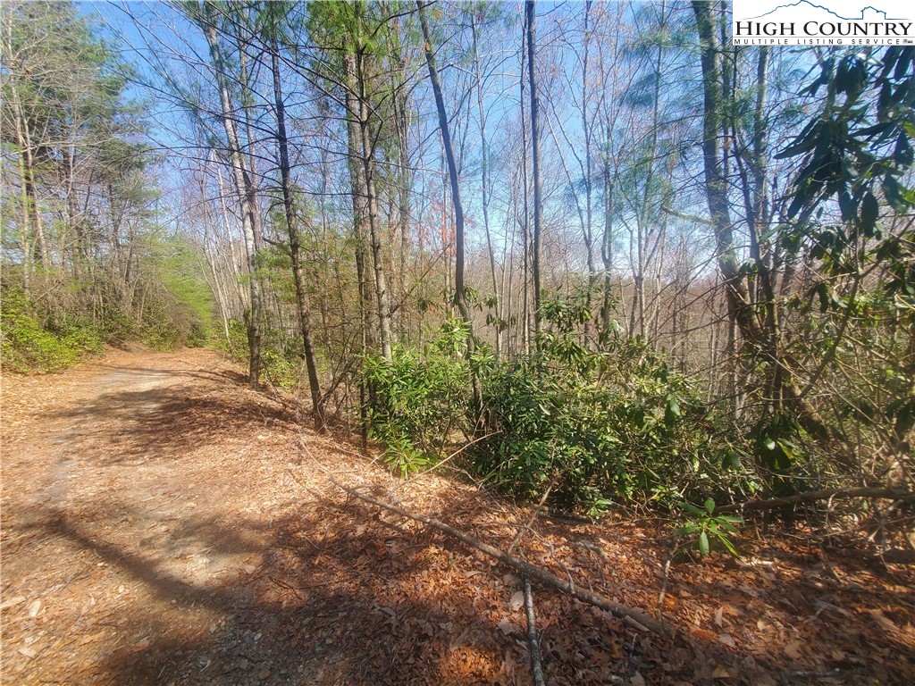 Falcon Ridge Trail West Jefferson, NC 28694 - Photo 5 of 16 a view of backyard with tree