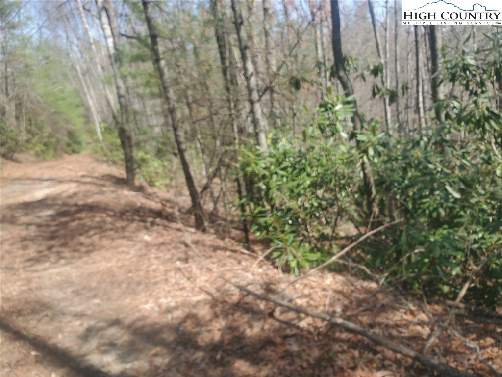 Falcon Ridge Trail West Jefferson, NC 28694 - Photo 6 of 16 a backyard of a house with lots of green space