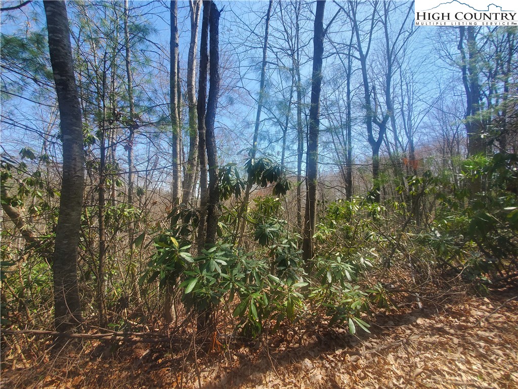 Falcon Ridge Trail West Jefferson, NC 28694 - Photo 9 of 16 a view of a yard