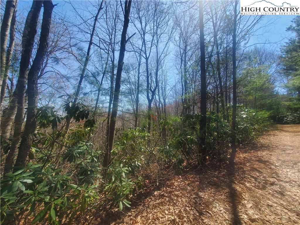 Falcon Ridge Trail West Jefferson, NC 28694 - Photo 10 of 16 a backyard of a house with lots of green space