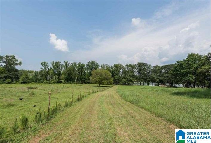 8200 South Main Street Wilsonville, AL 35186 - Photo 39 of 49