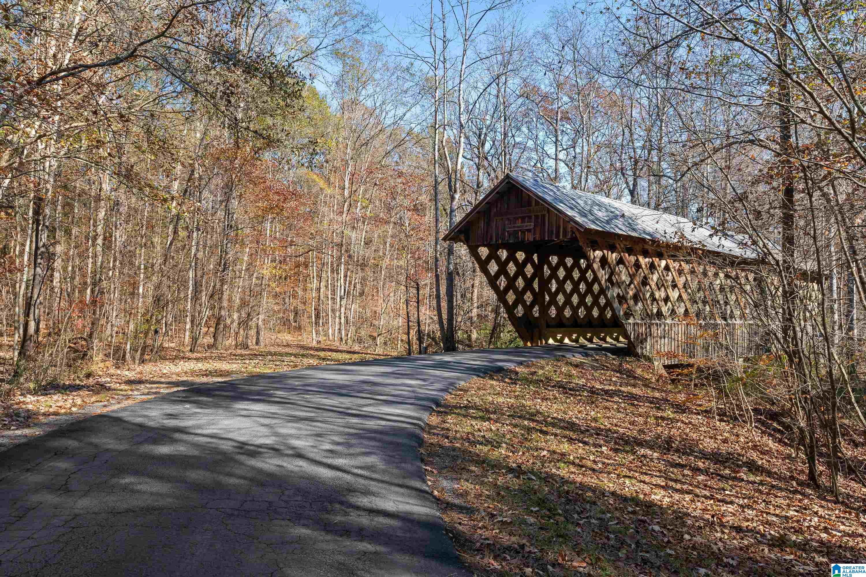 0 Pumpkin Hollow Road Sterrett, AL 35147 - Photo 9 of 55
