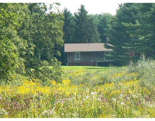 18550 Cavanaugh Lake Road Chelsea, MI 48118 - Photo 1 of 11 Photo 1