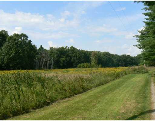 18550 Cavanaugh Lake Road Chelsea, MI 48118 - Photo 3 of 11 Photo 3