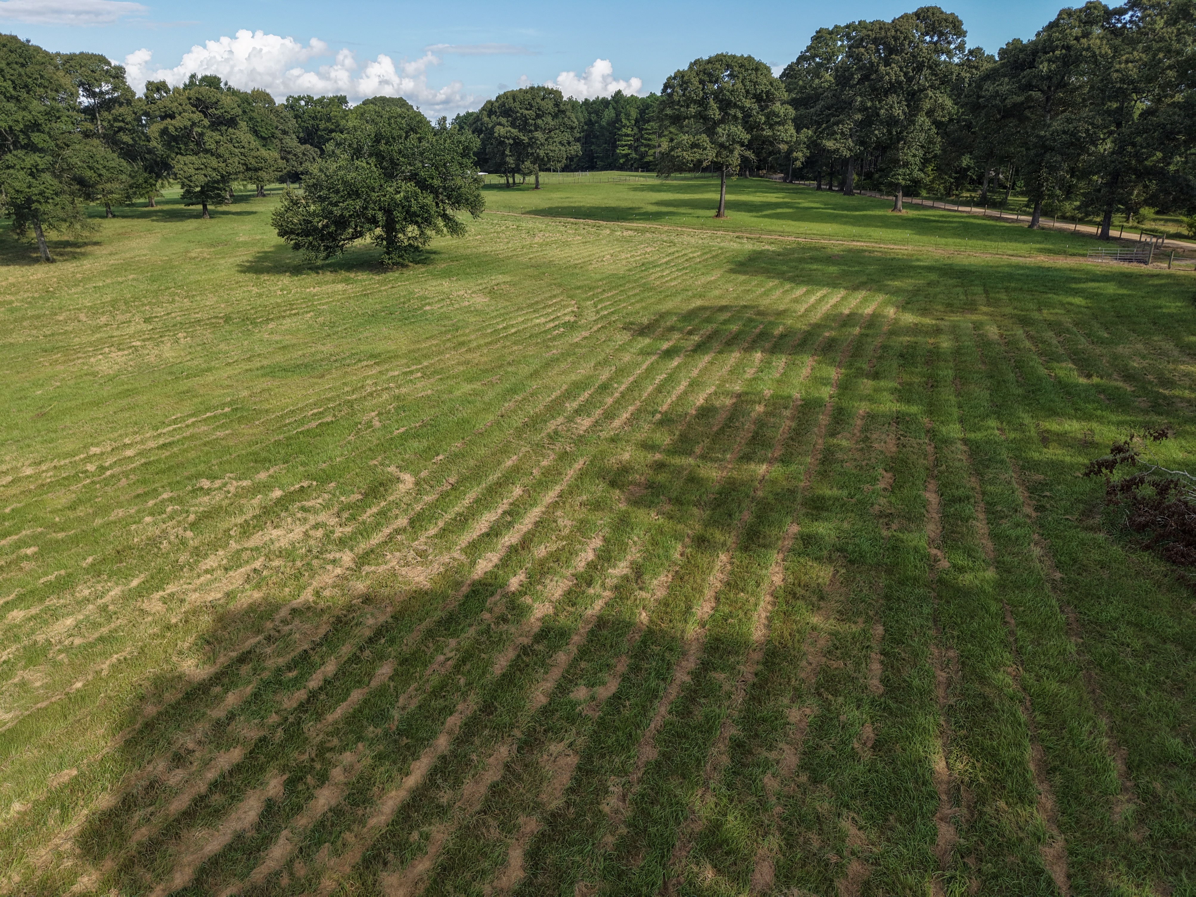 11955 Earl Booth Rd Extension Wilmer, AL 36587 - Photo 45 of 47 Gallery Image 45