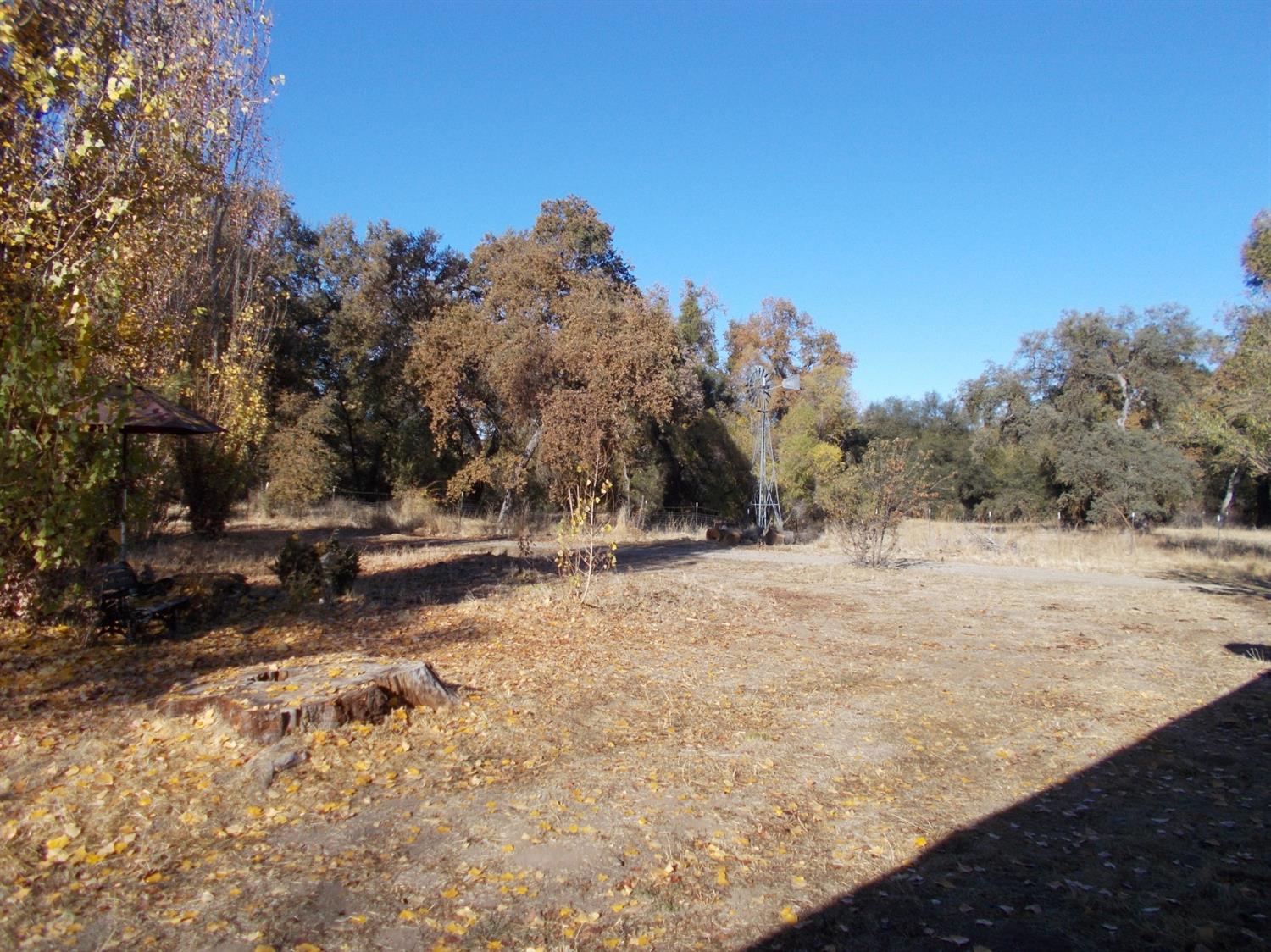 46823 Chuckwagon Road Squaw Valley, CA 93675 - Photo 18 of 25 Gallery Image 18