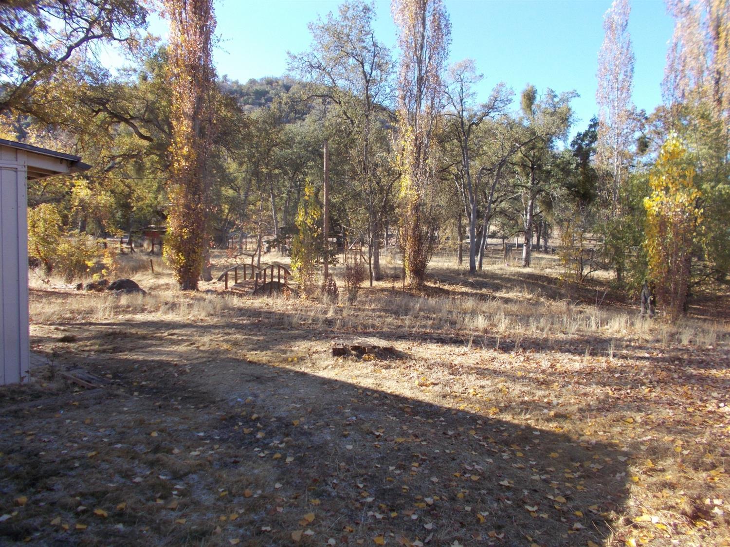 46823 Chuckwagon Road Squaw Valley, CA 93675 - Photo 19 of 25 Gallery Image 19