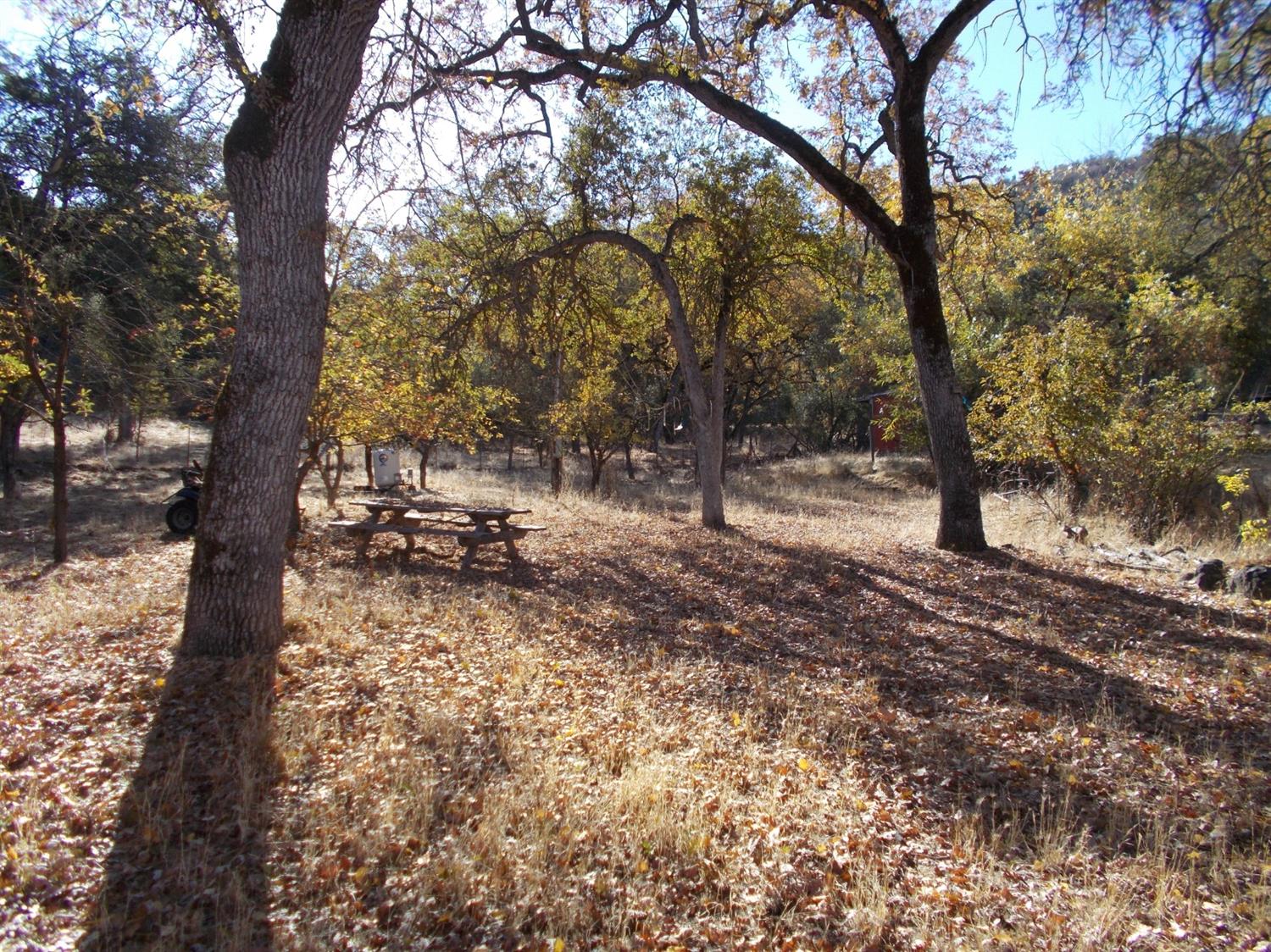 46823 Chuckwagon Road Squaw Valley, CA 93675 - Photo 21 of 25 Gallery Image 21