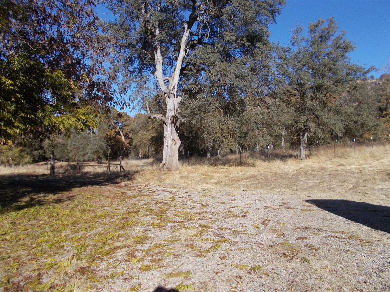 46823 Chuckwagon Road Squaw Valley, CA 93675 - Photo 22 of 25 Gallery Image 22