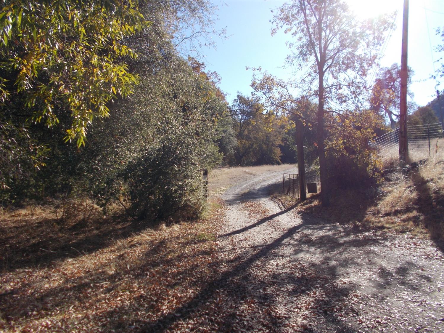 46823 Chuckwagon Road Squaw Valley, CA 93675 - Photo 23 of 25 Gallery Image 23
