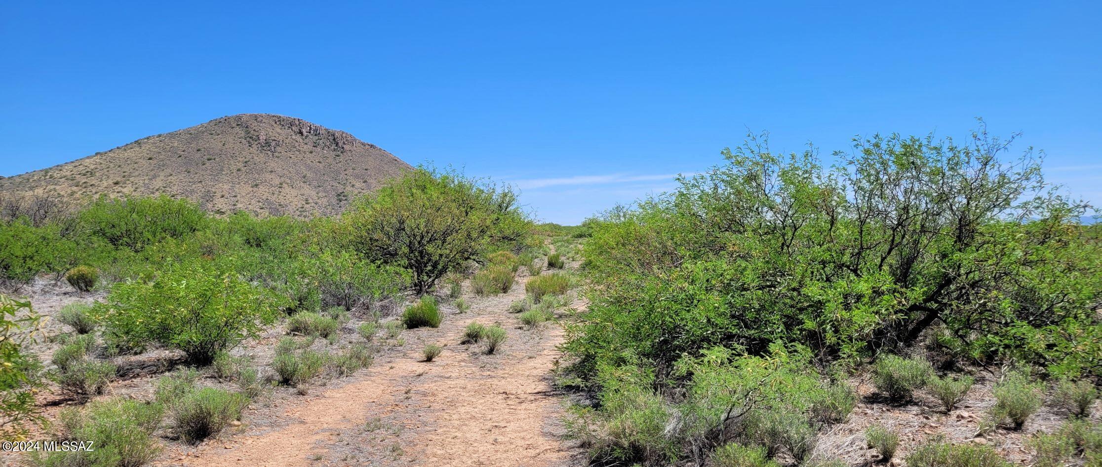 2.5 Ac Off Rucker Canyon Road, Unit 415 Elfrida, AZ 85610 - Photo 2 of 11 Gallery Image 2