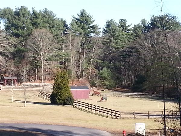 6 Saddle Ridge Way, Unit LOT 2 Norfolk, MA 02056 - Photo 27 of 27 Gallery Image 27