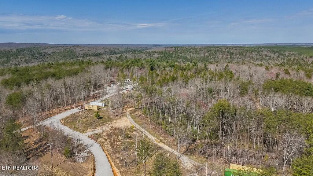 460 Twin Bridge Road Deer Lodge, TN 37726 - Photo 12 of 30 tempImageMgrng9