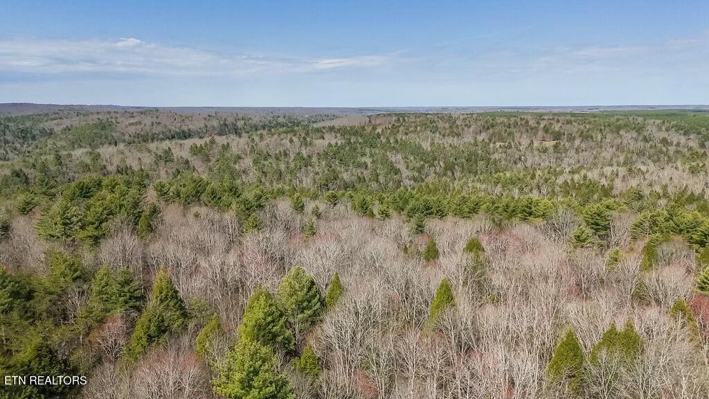 460 Twin Bridge Road Deer Lodge, TN 37726 - Photo 16 of 30 tempImagey2LRuA