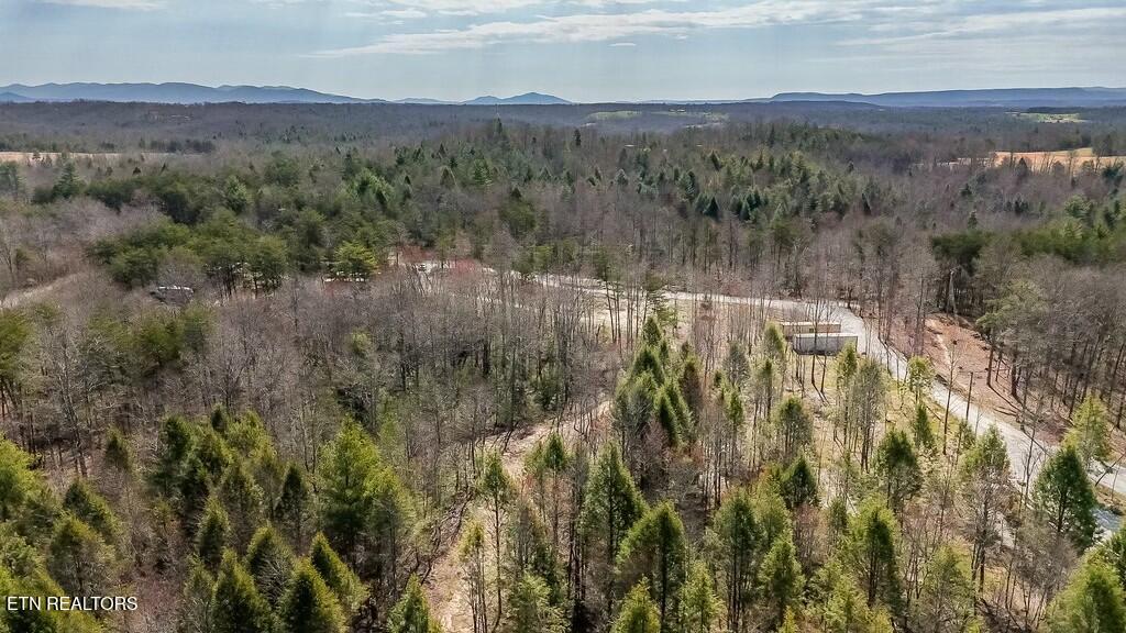 460 Twin Bridge Road Deer Lodge, TN 37726 - Photo 17 of 30 tempImagevD32jf