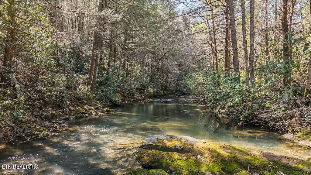 460 Twin Bridge Road Deer Lodge, TN 37726 - Photo 18 of 30 tempImagensk4uT