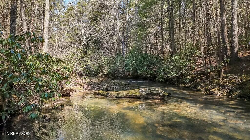 460 Twin Bridge Road Deer Lodge, TN 37726 - Photo 19 of 30 tempImageFV9V9J