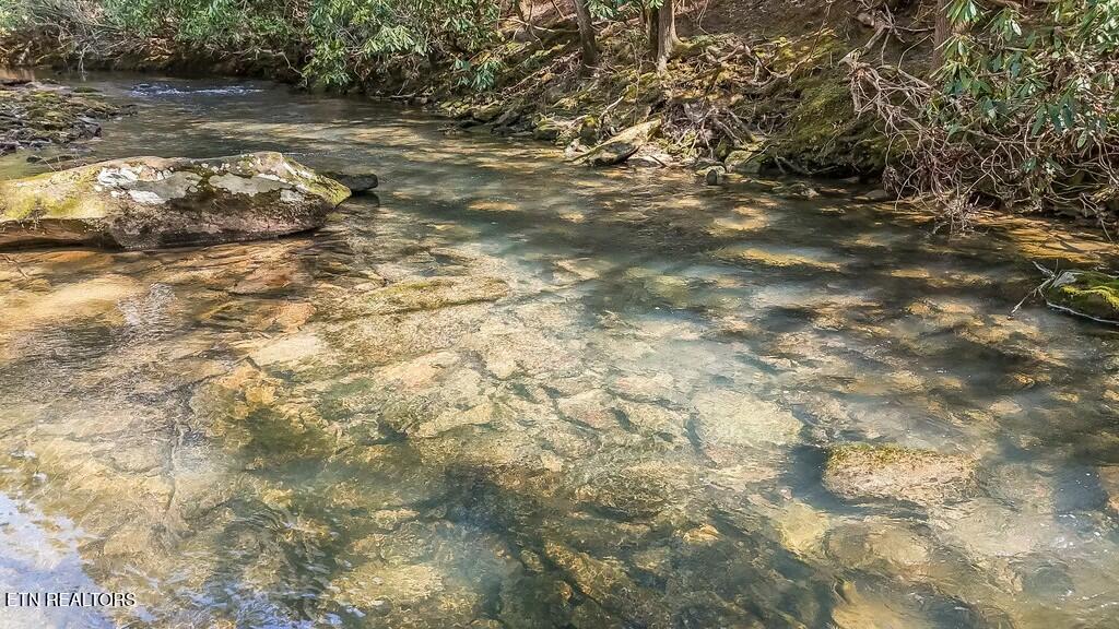 460 Twin Bridge Road Deer Lodge, TN 37726 - Photo 20 of 30 tempImageKnCeeF