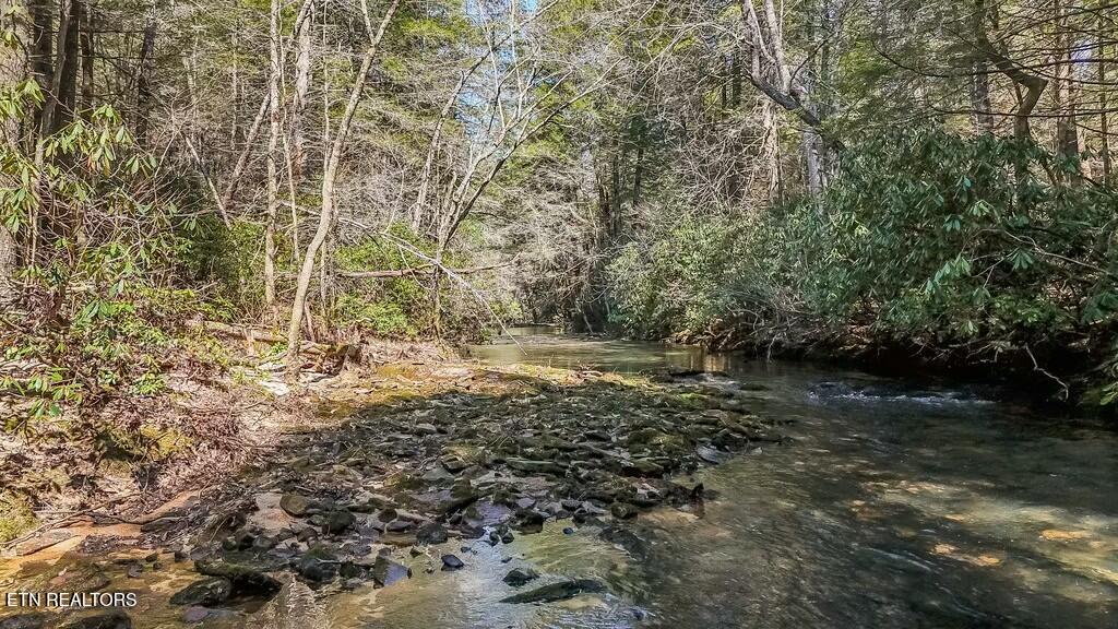 460 Twin Bridge Road Deer Lodge, TN 37726 - Photo 2 of 30 tempImage8MgUc7