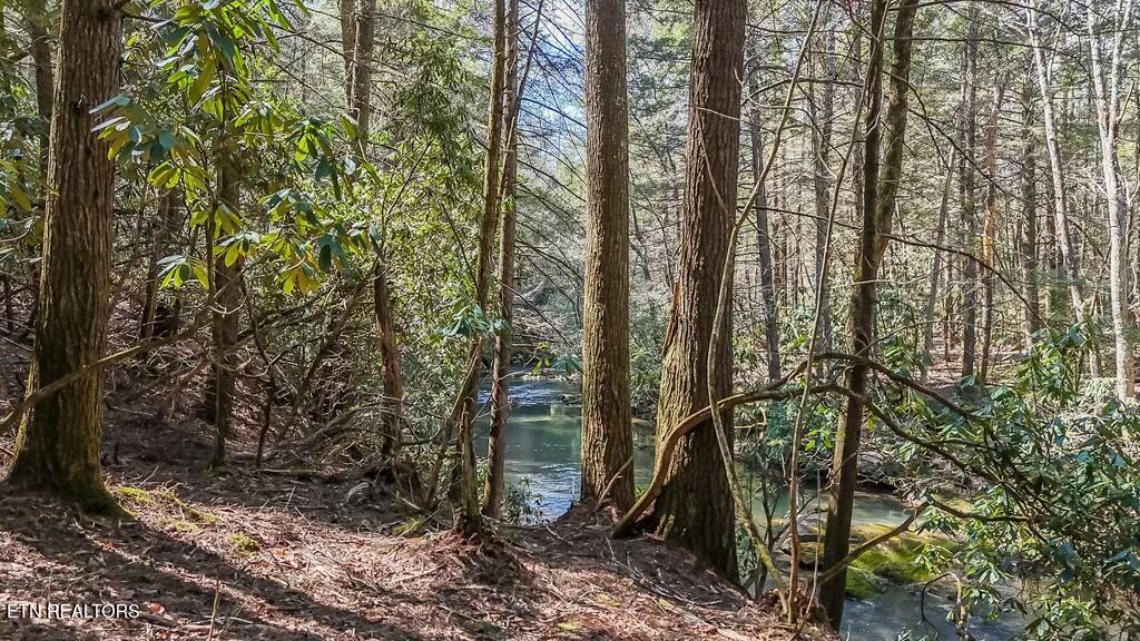 460 Twin Bridge Road Deer Lodge, TN 37726 - Photo 22 of 30 tempImageFWpwMc