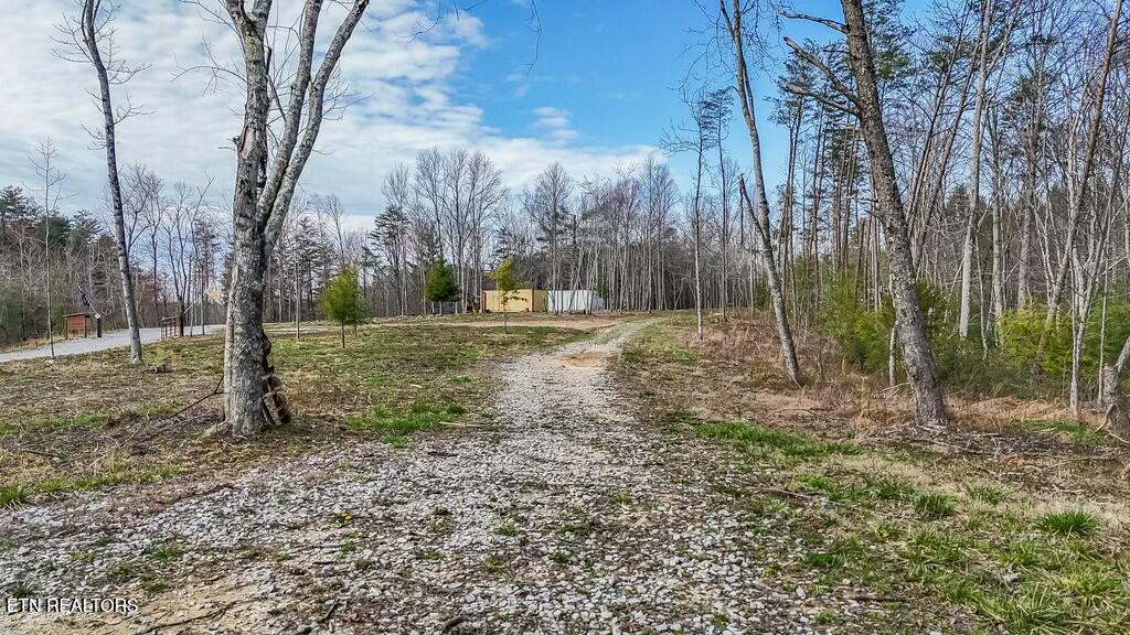 460 Twin Bridge Road Deer Lodge, TN 37726 - Photo 4 of 30 tempImageh2e5LC