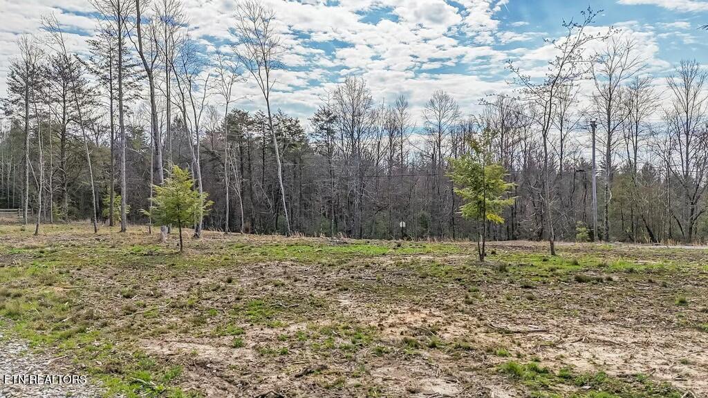 460 Twin Bridge Road Deer Lodge, TN 37726 - Photo 5 of 30 tempImagecaUjN8