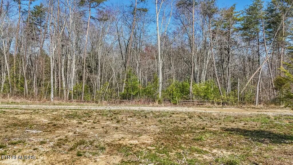 460 Twin Bridge Road Deer Lodge, TN 37726 - Photo 6 of 30 tempImageFOQcFI