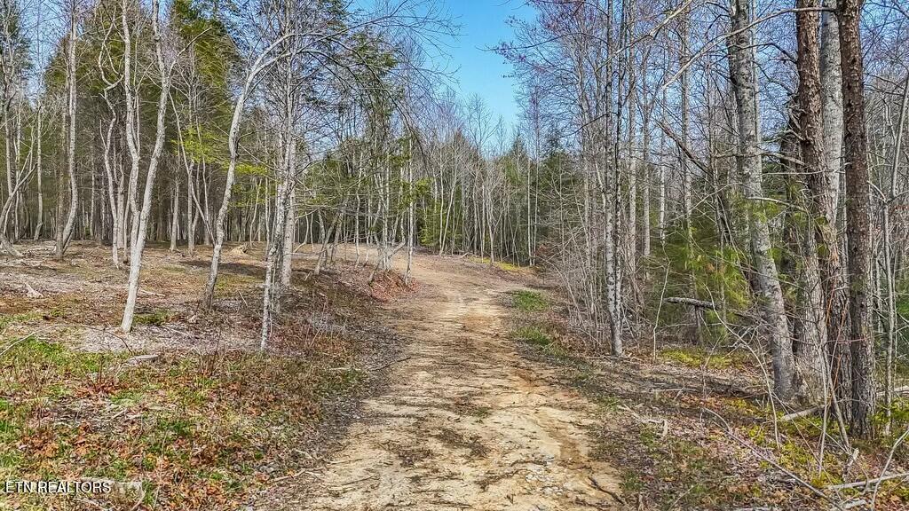 460 Twin Bridge Road Deer Lodge, TN 37726 - Photo 7 of 30 tempImage5Lmyft
