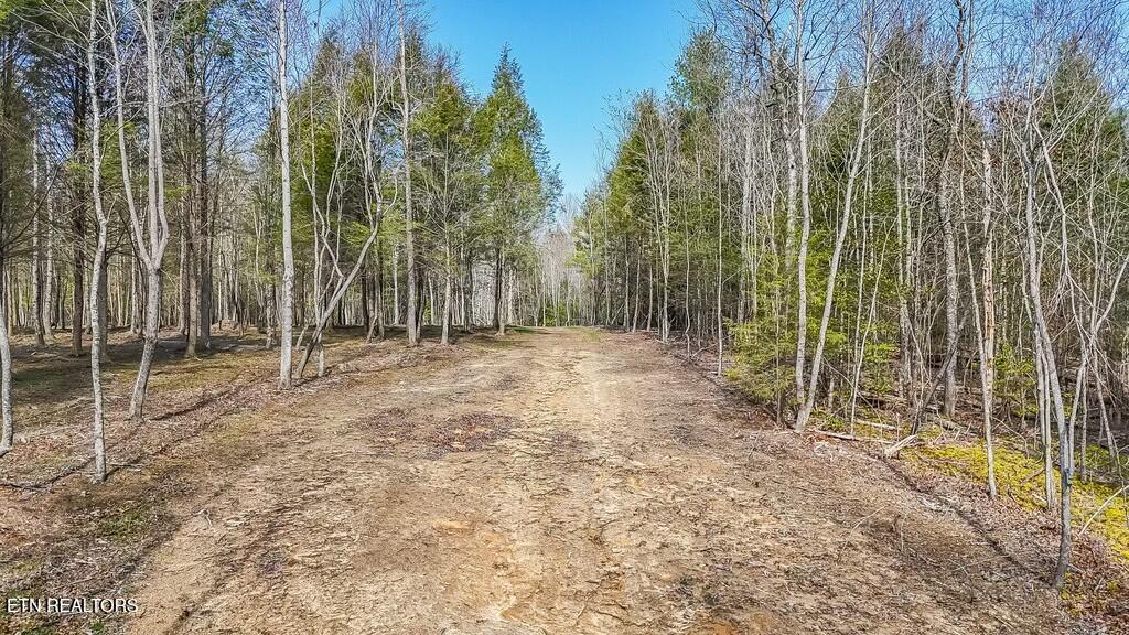 460 Twin Bridge Road Deer Lodge, TN 37726 - Photo 8 of 30 tempImagei14F78