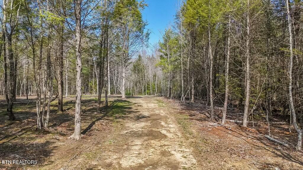 460 Twin Bridge Road Deer Lodge, TN 37726 - Photo 9 of 30 tempImageTAyYht