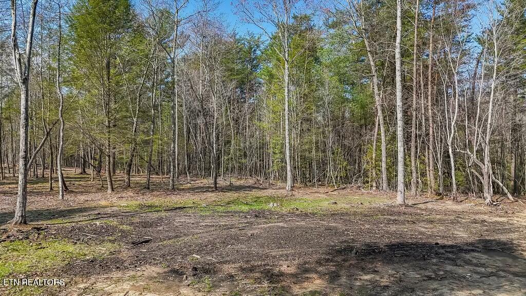 460 Twin Bridge Road Deer Lodge, TN 37726 - Photo 10 of 30 tempImageiV9YtI