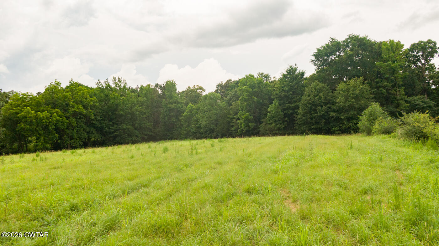 3431 Old Reagan Road Sardis, TN 38371 - Photo 17 of 25 06-13 Old Reagan Rd-18 No.12