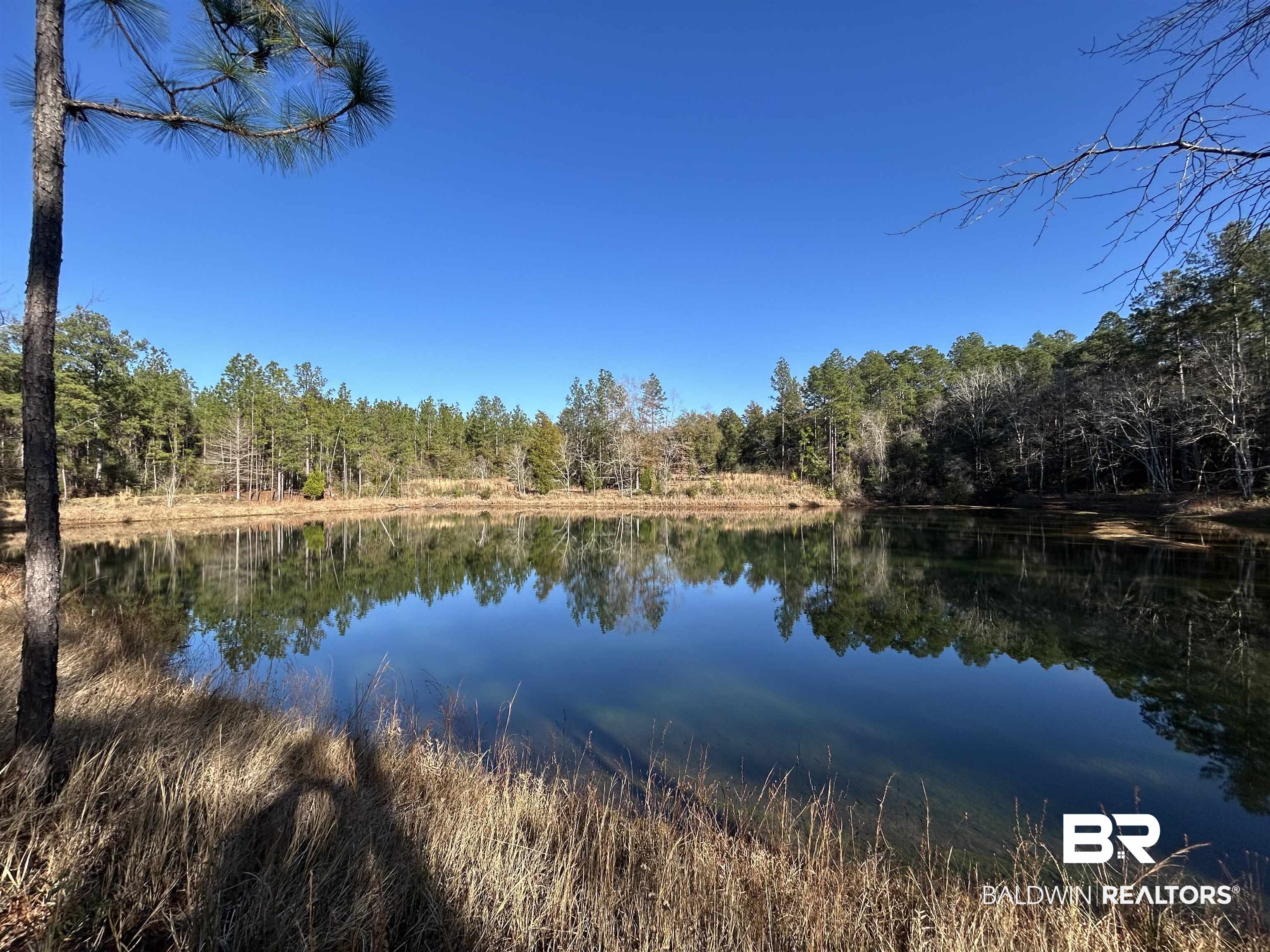 9550 A Sand Ridge Road Citronelle, AL 36522 - Photo 13 of 16 Property view of water
