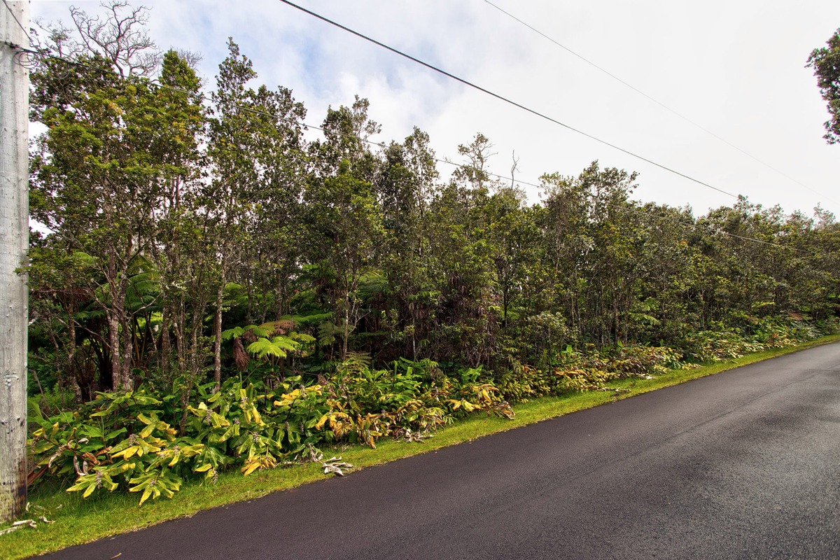 1044 12th Street Pahoa, HI 96778 - Photo 2 of 7