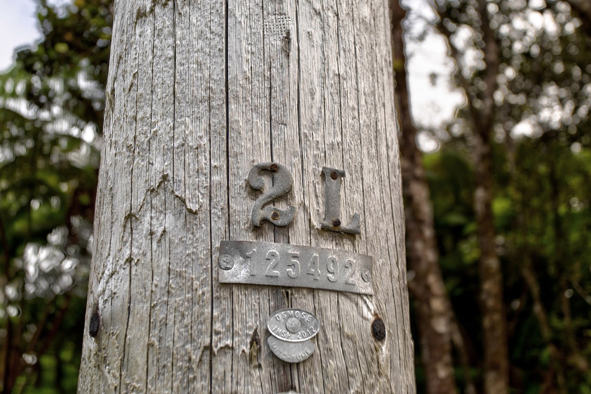 1044 12th Street Pahoa, HI 96778 - Photo 3 of 7